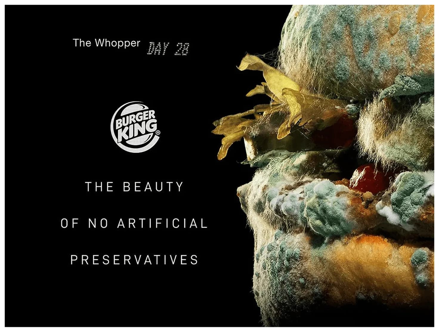 Von_restroff_Display_BurgerKing.png