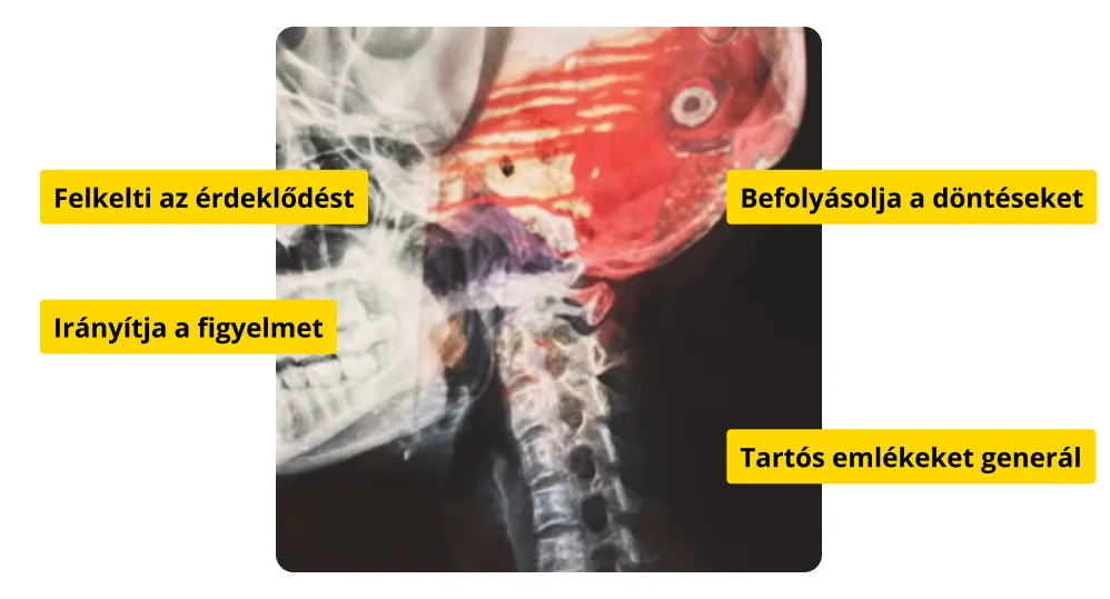 Von Restorff effektus idegtudományi kutatás eredményei